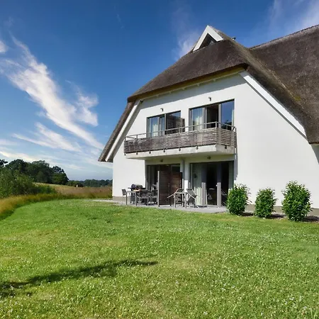 Haubentaucher 25 Im Wreecher Idyll Ruegen By Ruyastay פוטבוס